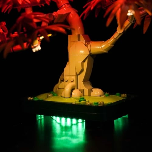 10348 Japanese Red Maple Bonsai Tree - Light Control Lighting Kit