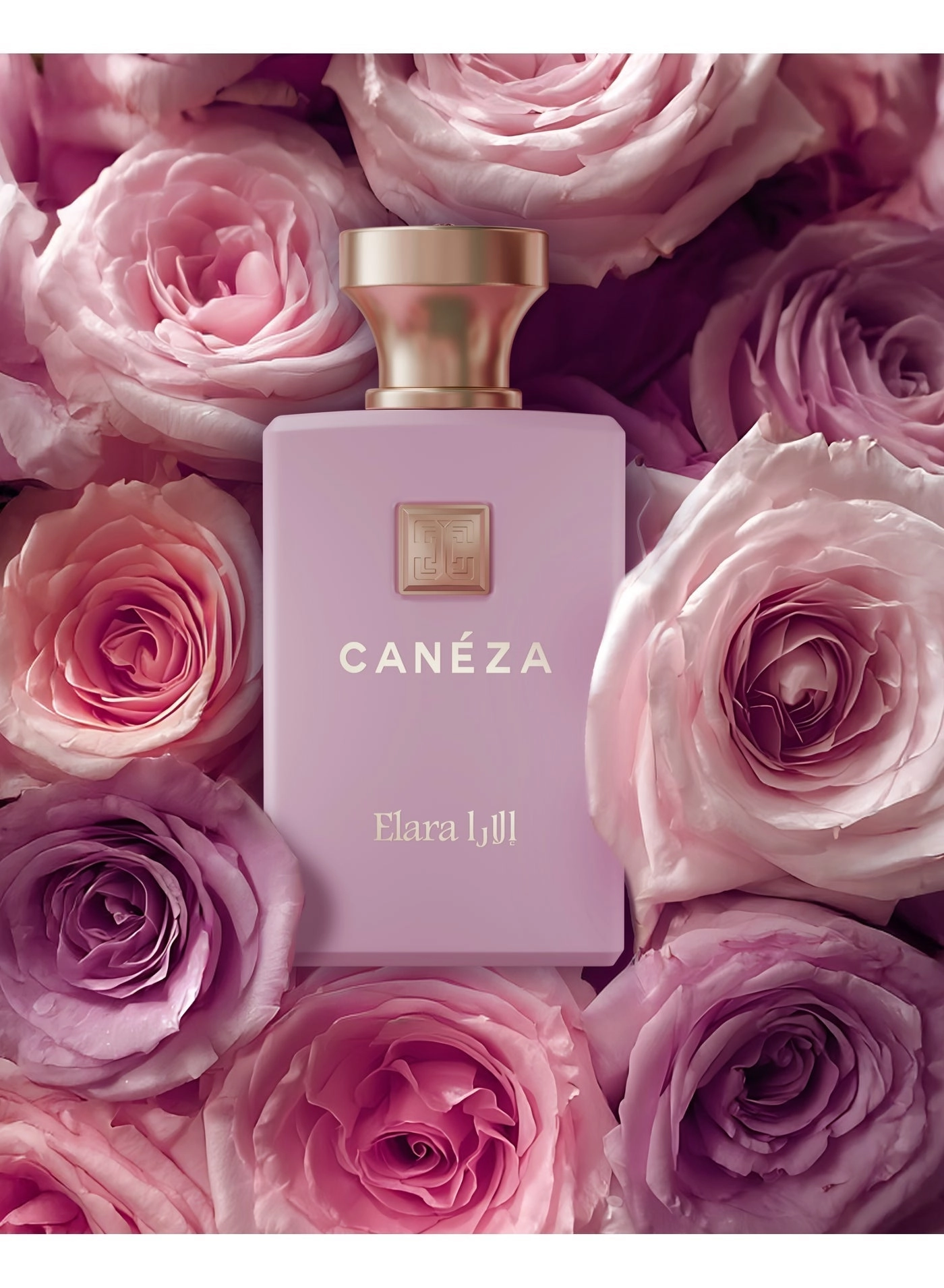 Elara Eau de Parfum 100ml