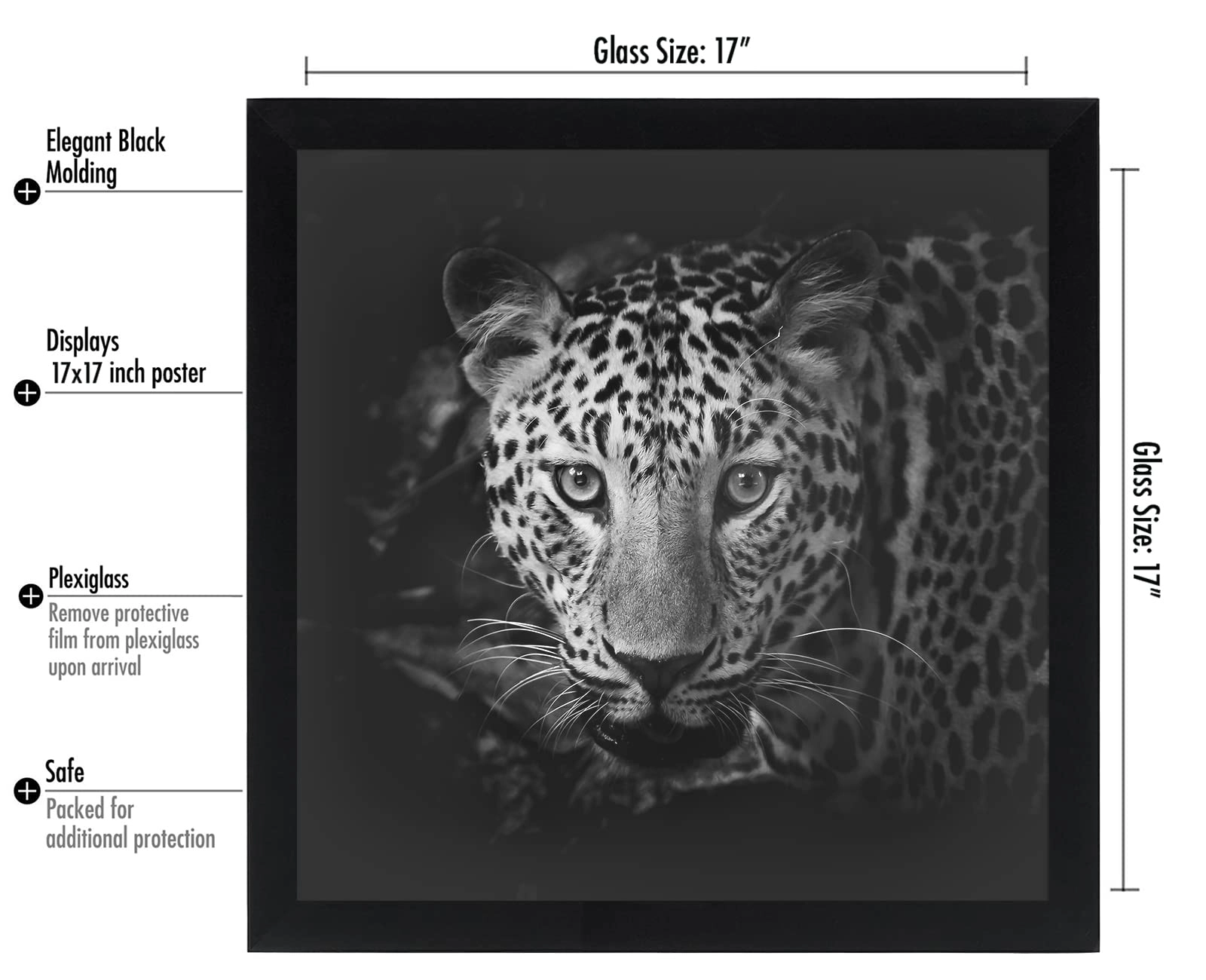 WB1717BLKPC - 17X17