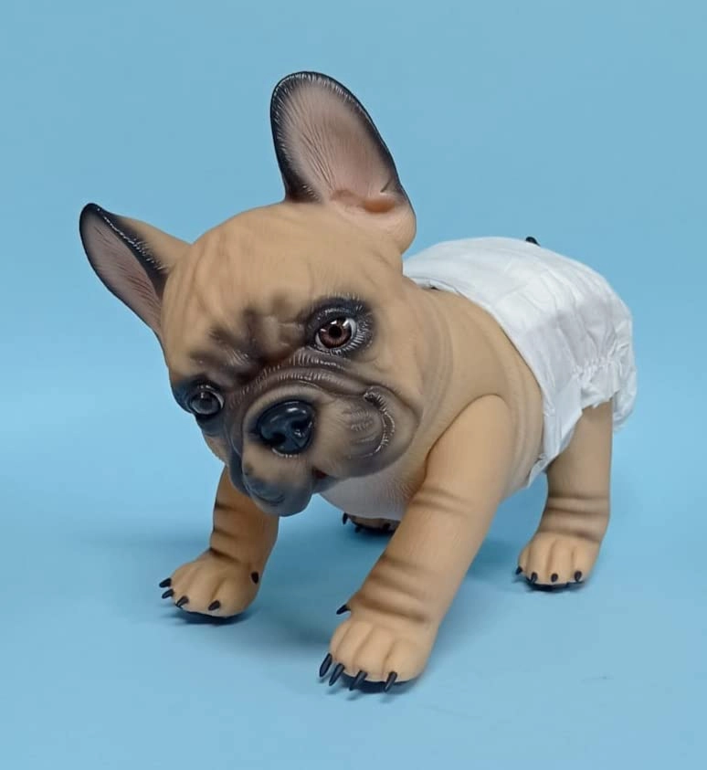 Dog - Animal - Baby Bulldog Francés - 3 years 3 (30 cm) (BDF-001)