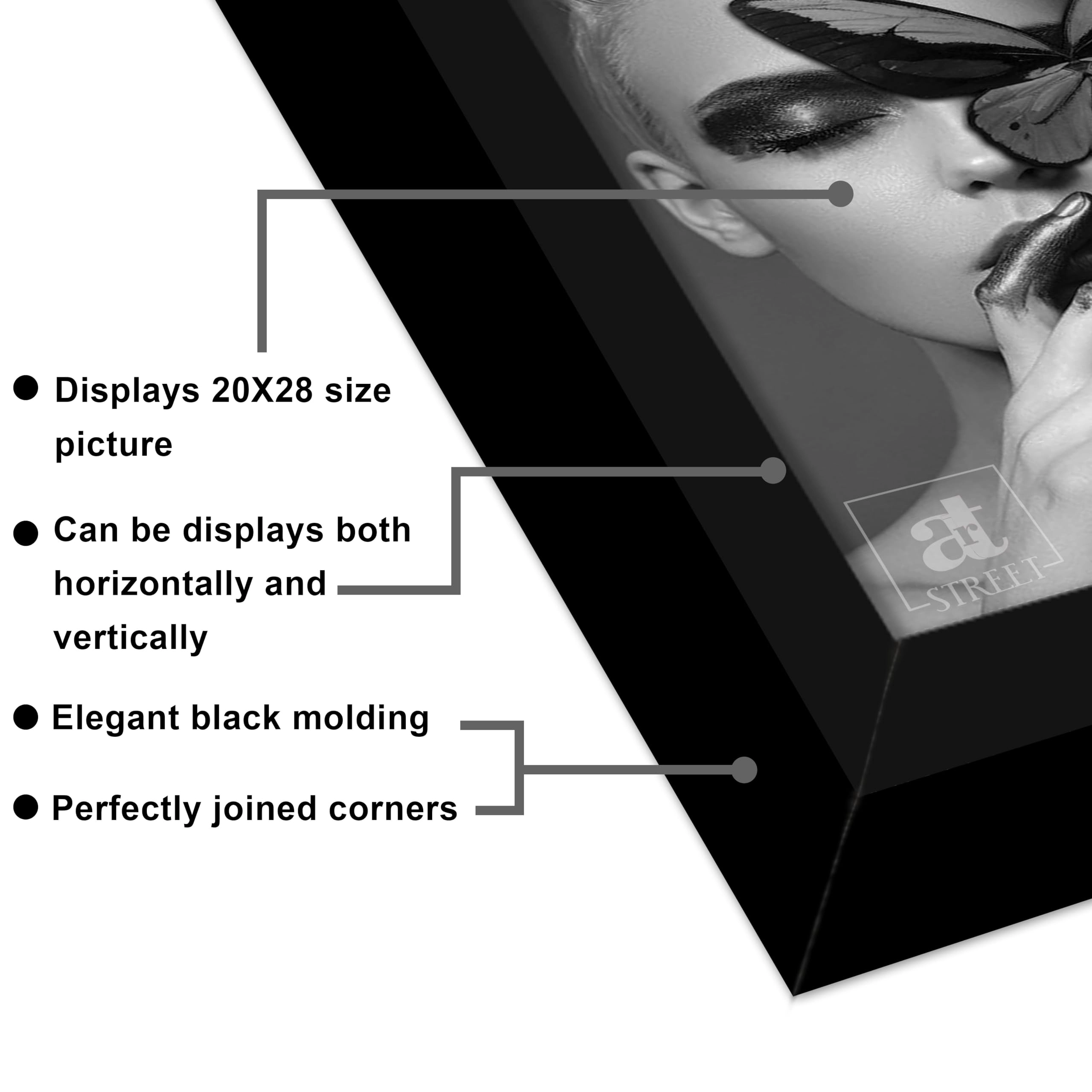 Document Frame - 20x28 Inch 2 Set
