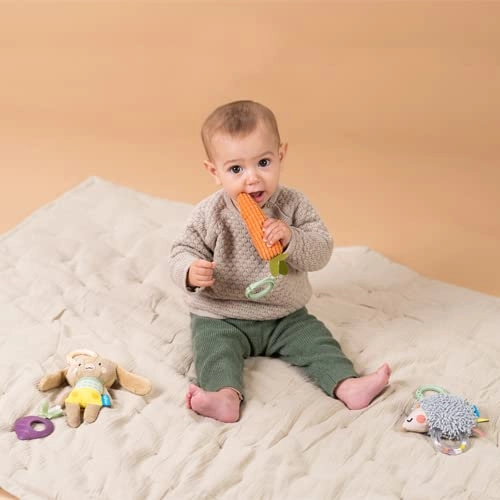 Urban Garden Baby Activity Toys Kit - Animal