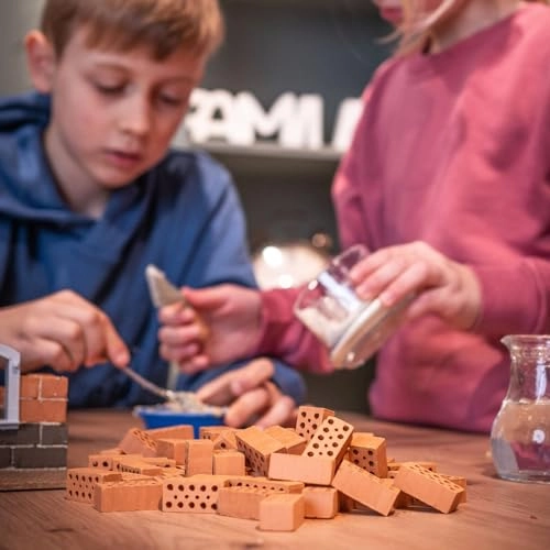 Education Pack - 6 months - 18 years 1 pieces