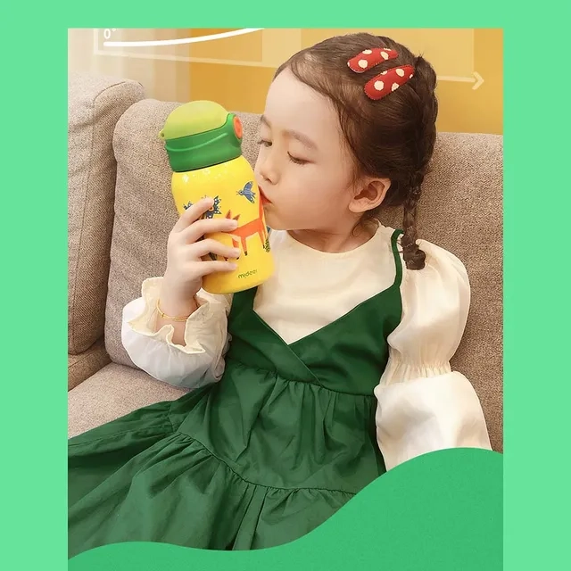 Vacuum Insulated Bottle T Rex - 450 ml