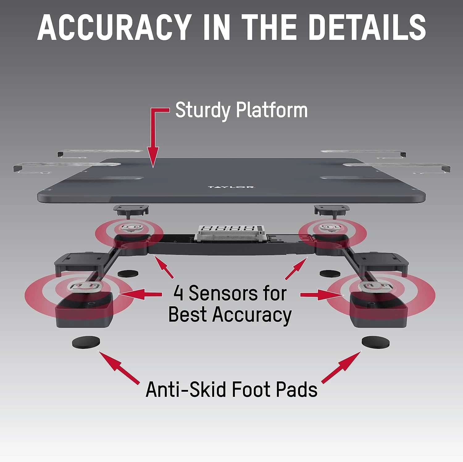 Smart Body Scale