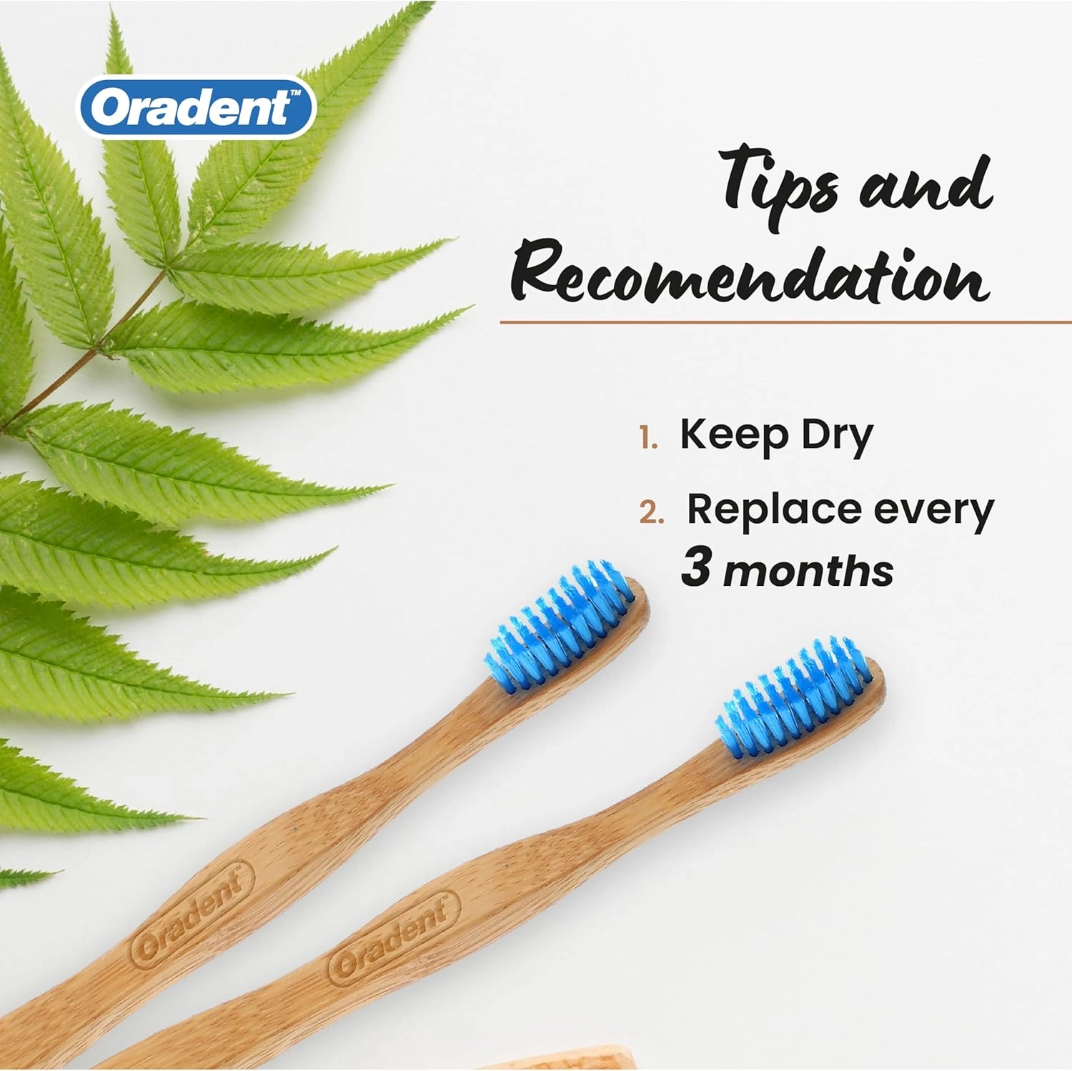 Eco Adult Bamboo Toothbrush - Soft