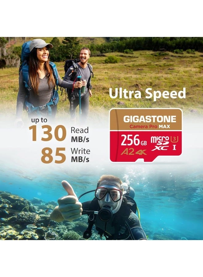 Micro SD Card - 256GB