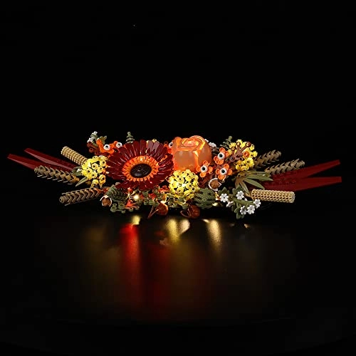 LED Light Kit - Multicolor Compatible with Lego 10314