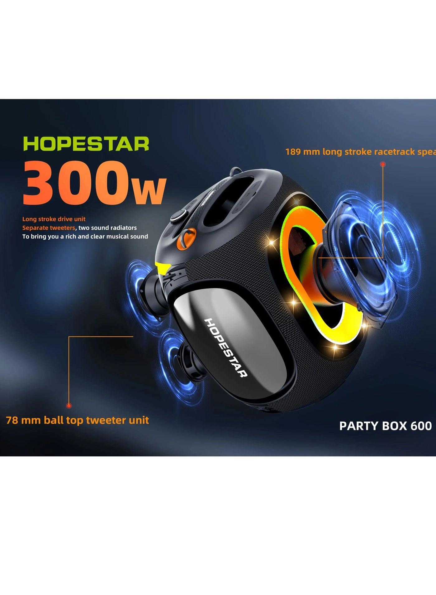 Party Box 600 - 300W
