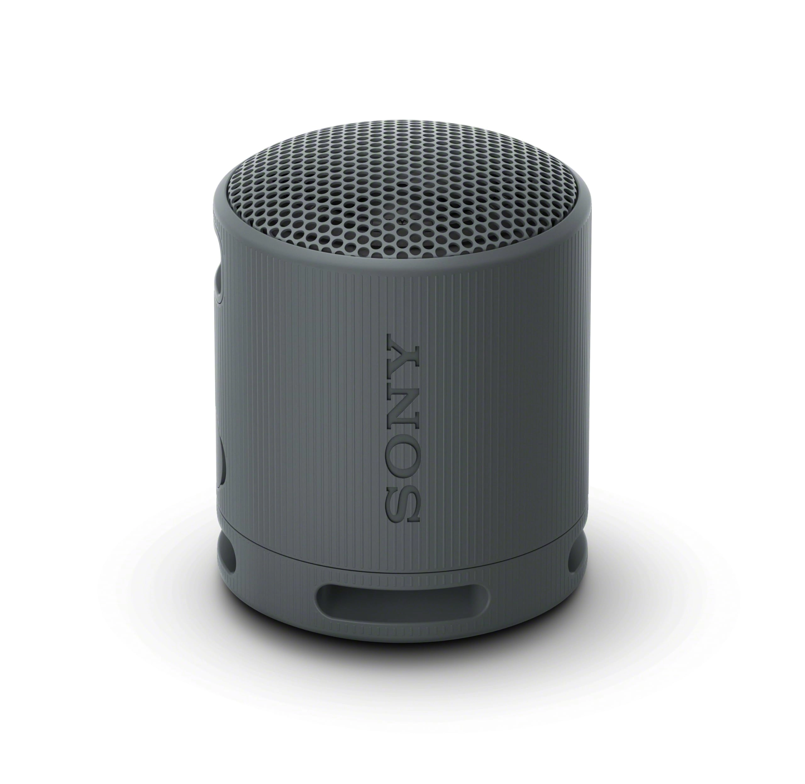 Sony SRS-XB100 SRS-XB100/B-R Portable Wireless Speaker