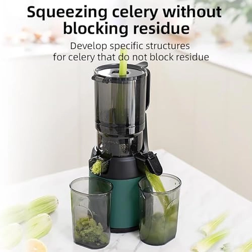 Slow Masticating Juicer - 300W