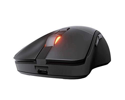 Surpassion RX Gaming Mouse - Wireless