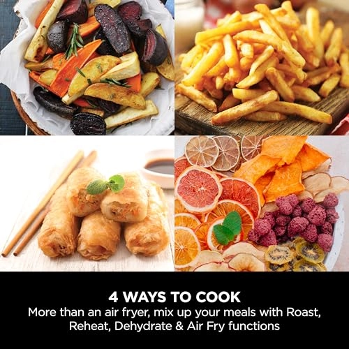 Air Fryer AF100