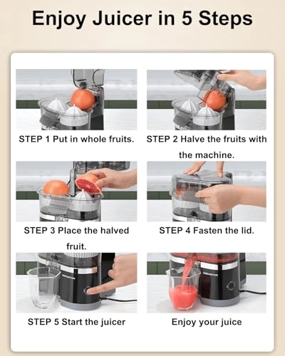 Electric Citrus Juicer