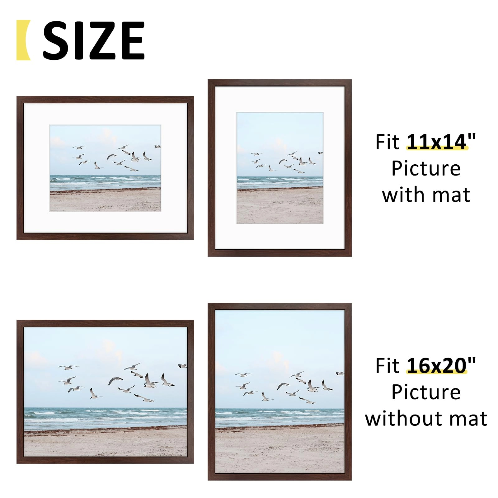 16x20 Frames Display