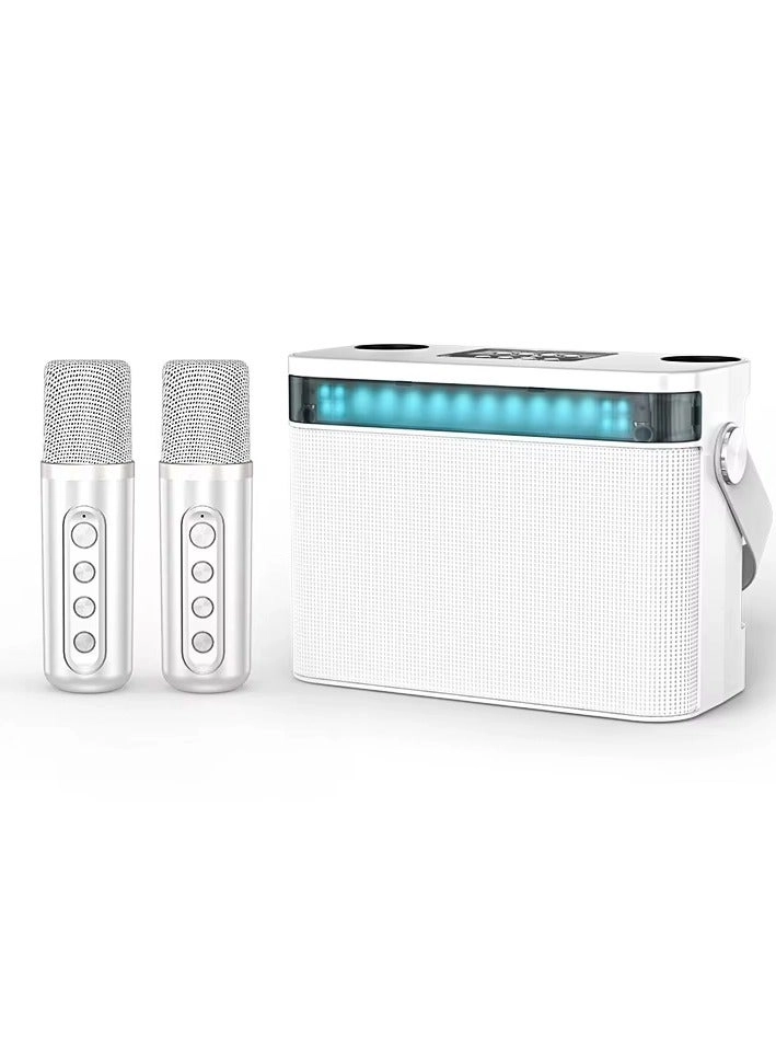 YS 224 - Dual Microphones