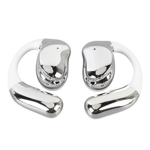 Translator Earbuds - 140 LANGUAGE SUPPORT