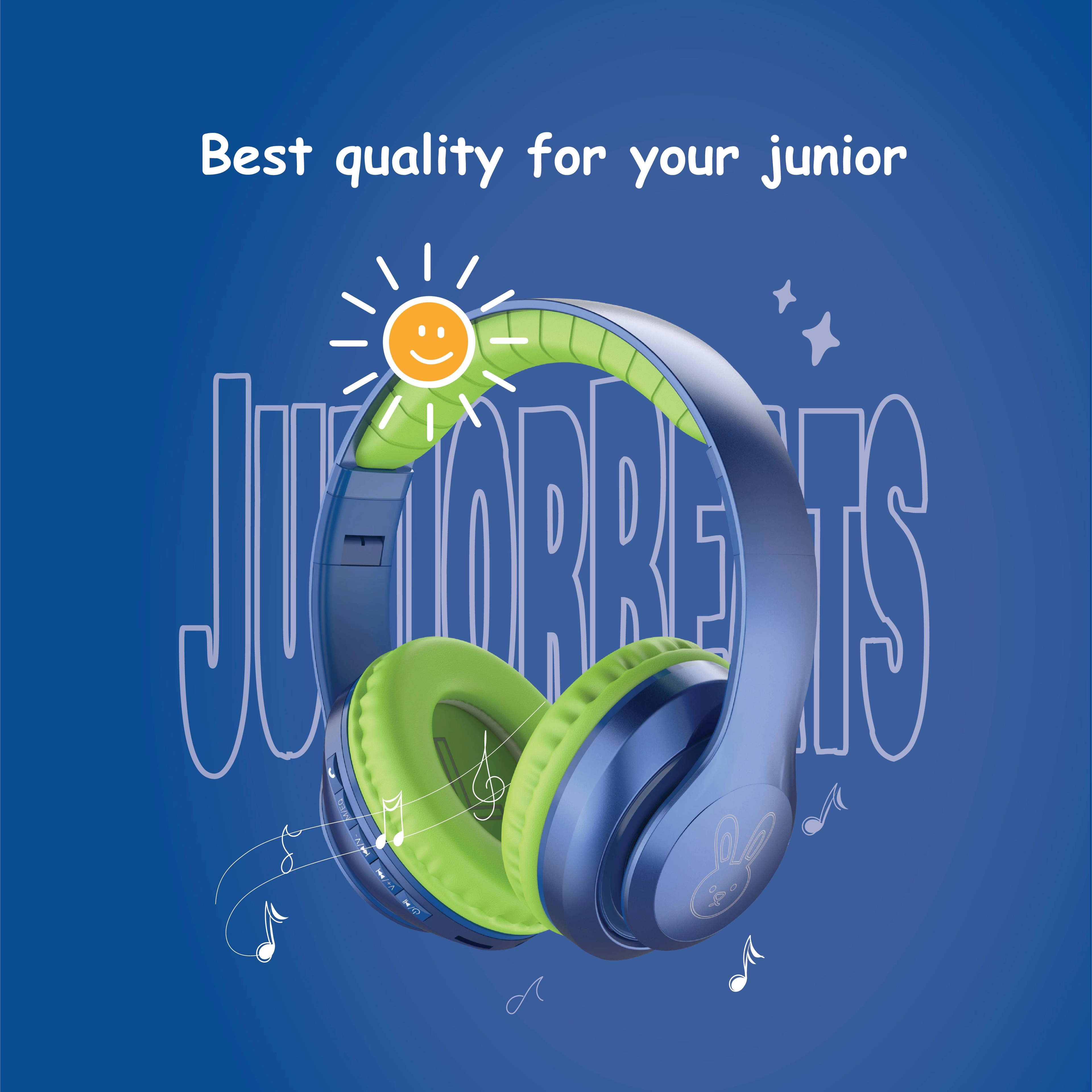 B69 Wireless Headset