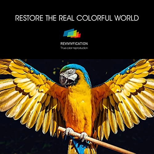 7467834 2500ANSI Lumen