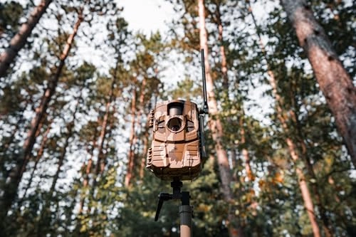 Connect Max 2.0 - Cellular MO Bottomland Camo