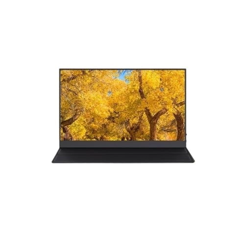 Portable Monitor - wpenshiDM125 16 inches 2560 x 1600