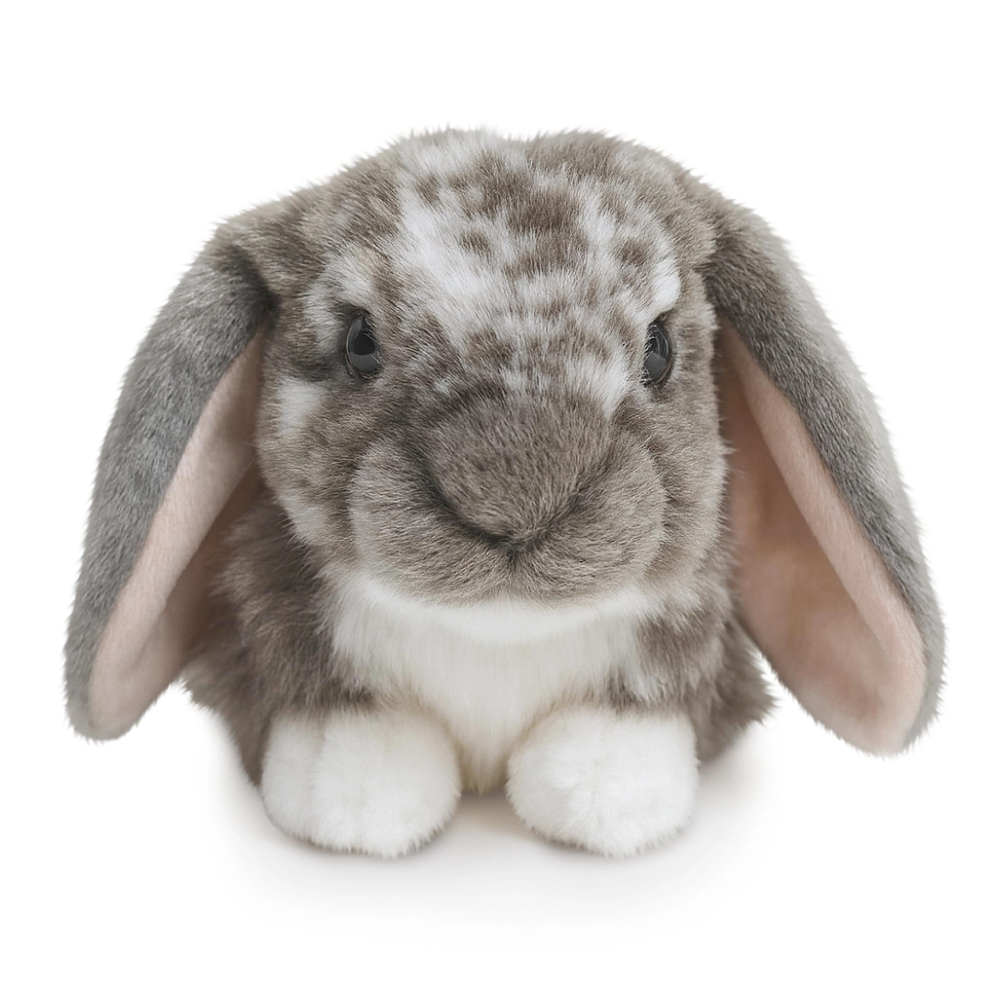 Dutch Lop Eared Rabbit 18 cm Plush