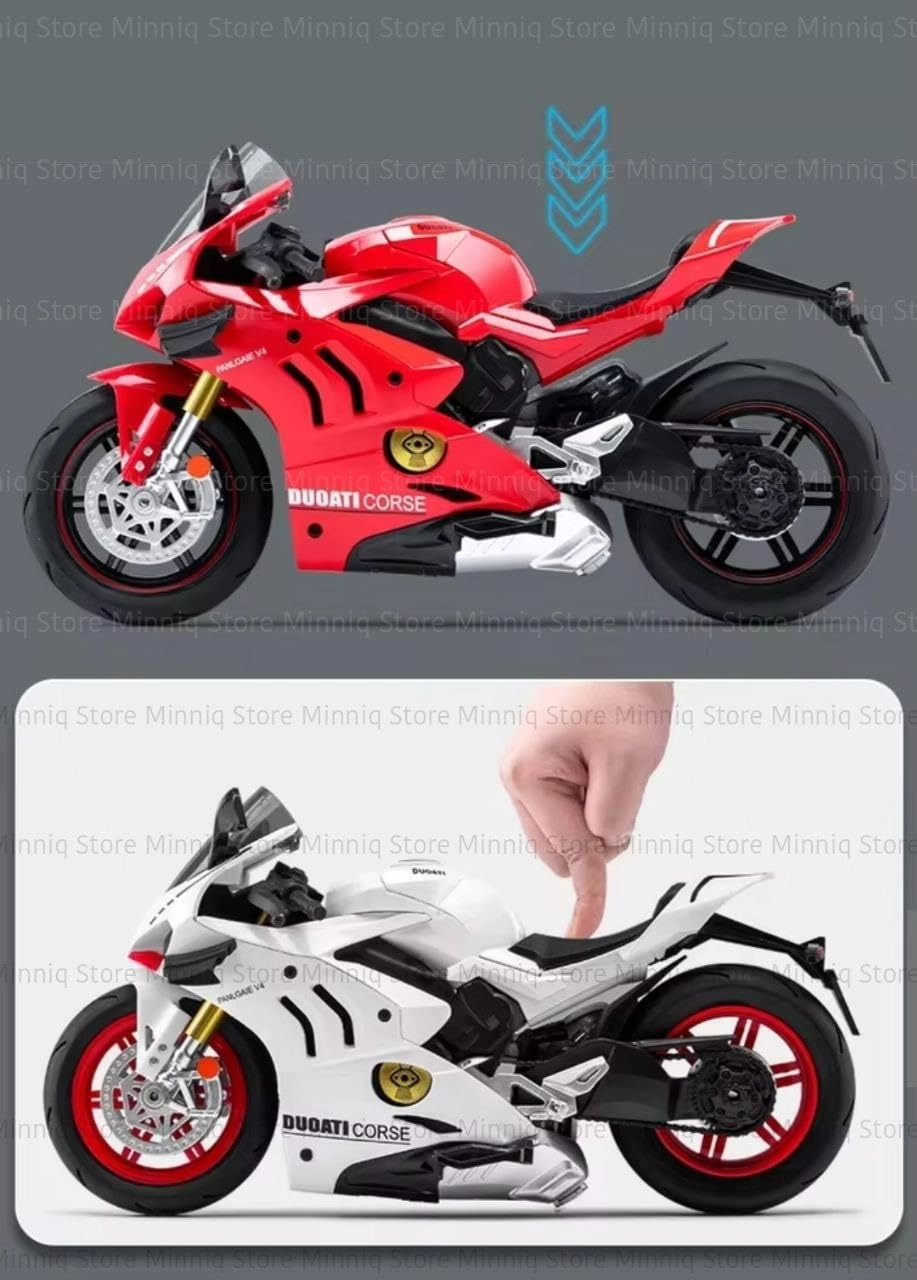 R1250GS - 1:12 1