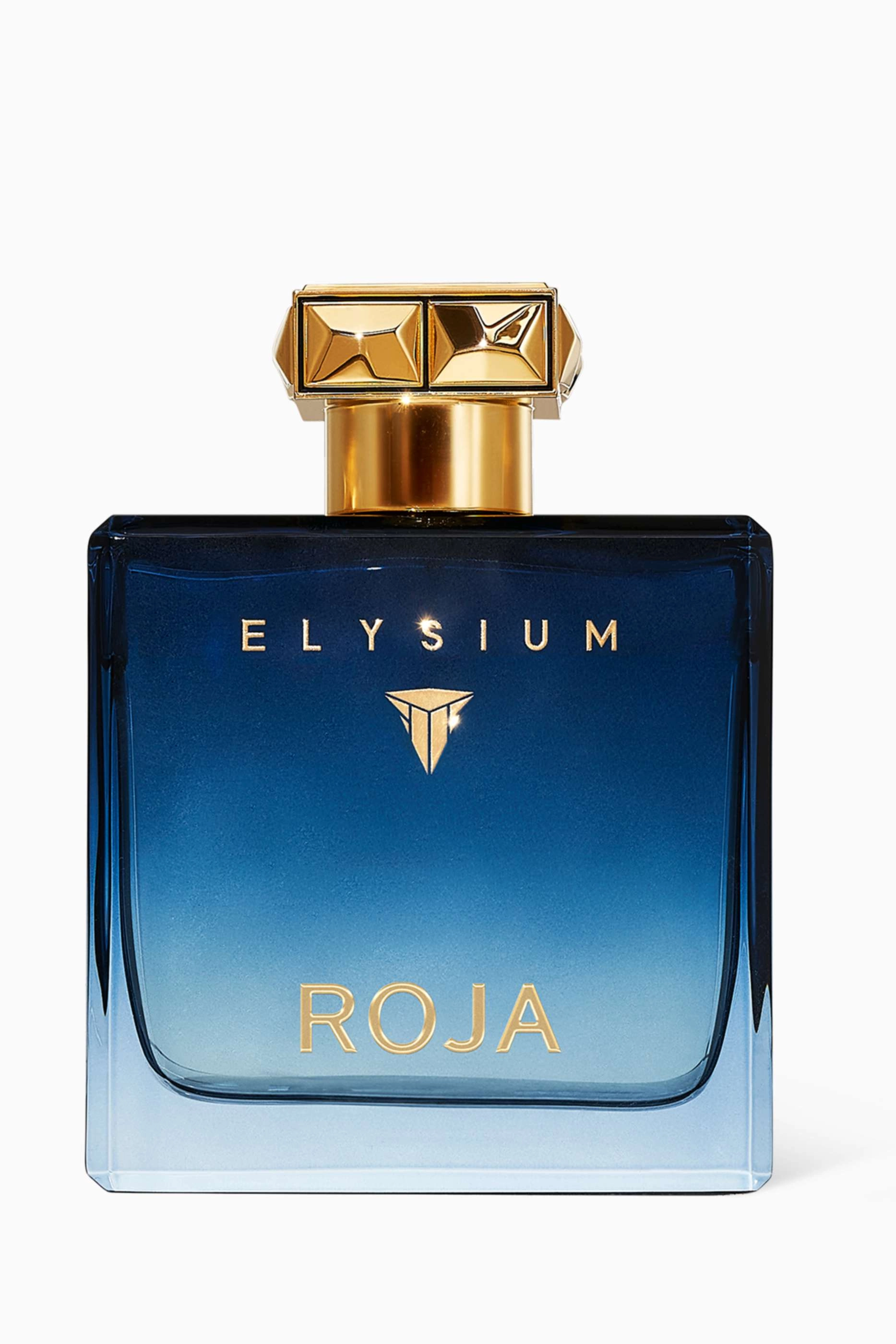 Roja Elysium Pour Homme Eau de Parfum 100 ml