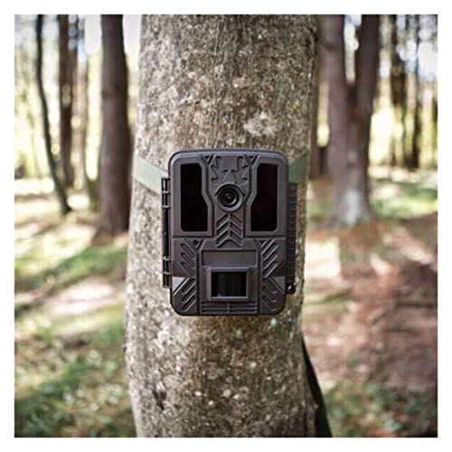 Wildlife Camera - 20MP