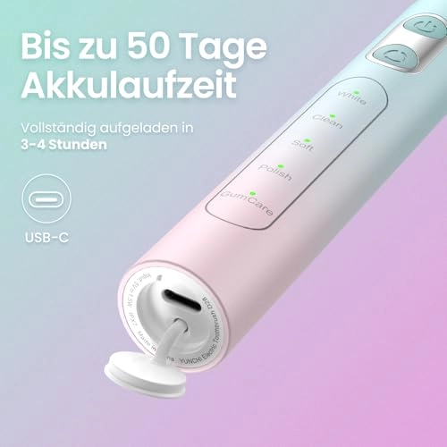 C3 - 8 Brush Heads Travel Case USB Type-C Charging