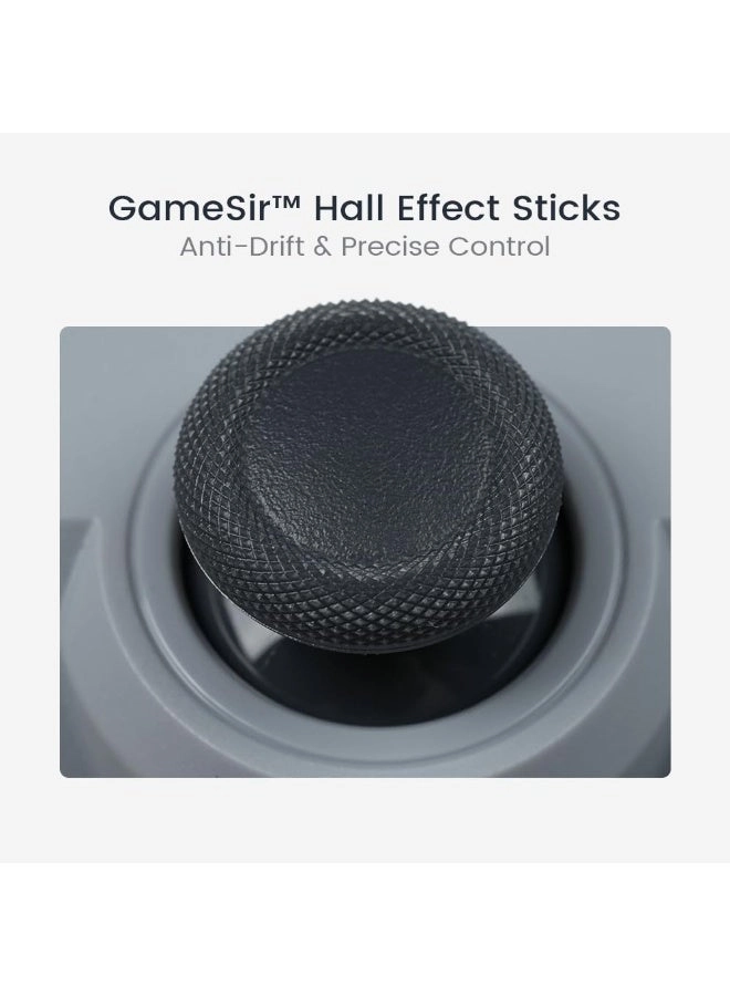 Switch Android iOS PC Steam Tegenaria Lite Grey