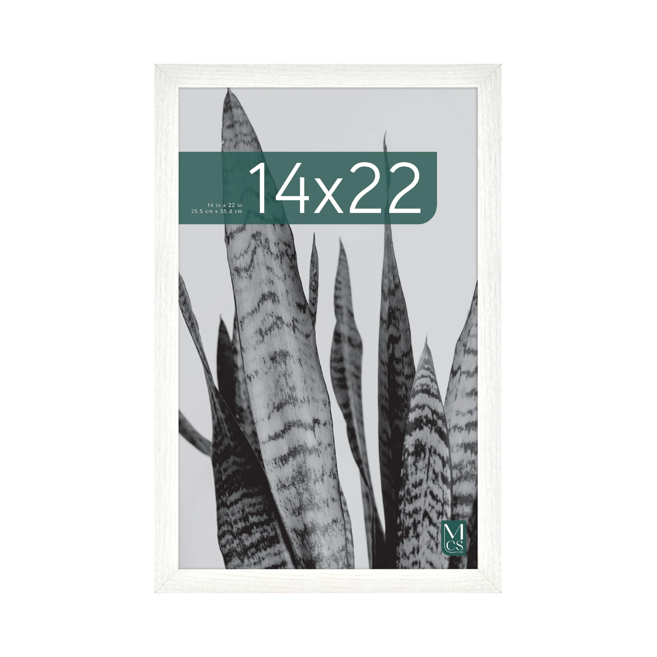 MCS Frames Studio Gallery - 14x22 1