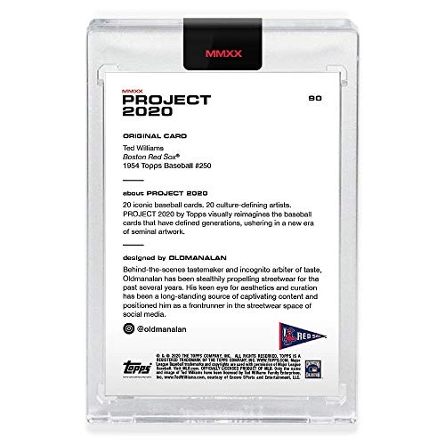 PROJECT 2020 TED WILLIAMS Encased Baseball Card 90-1954 - 20pcs