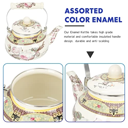 Glass Teapot - Enamel 2.5 Liters