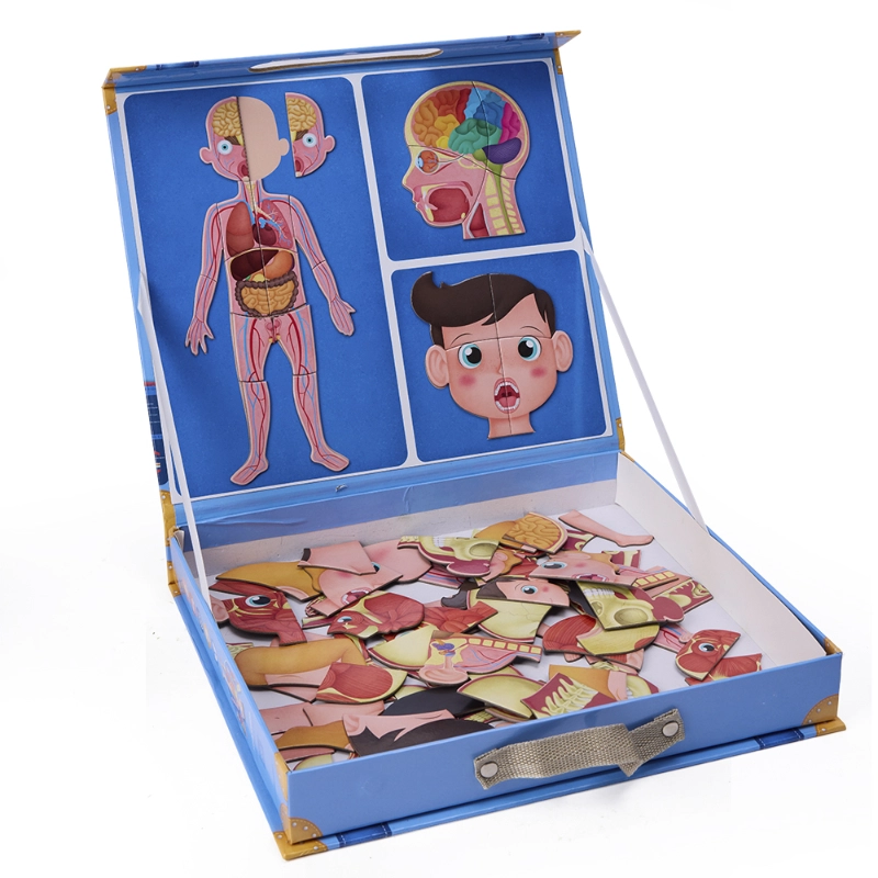 Human Body Magnetic Puzzle - 7+ 100 pieces