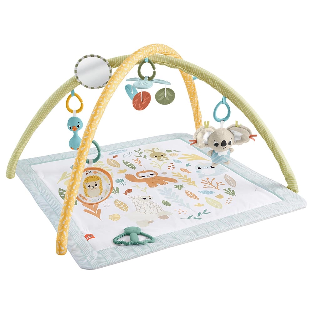Fisher-Price Simply Senses Newborn Gym - 0 month