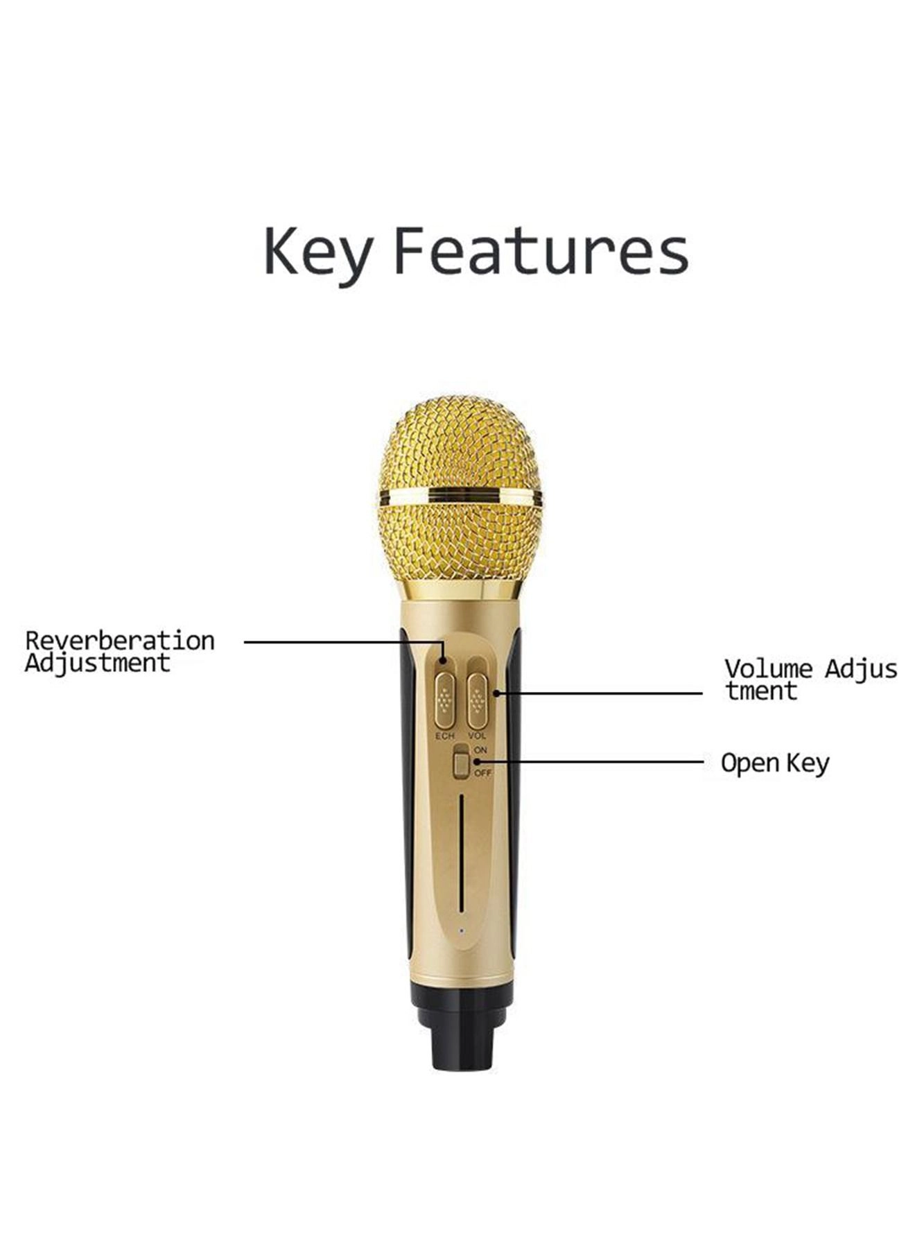 SD306 - Dual Wireless Microphone Bluetooth Stereo