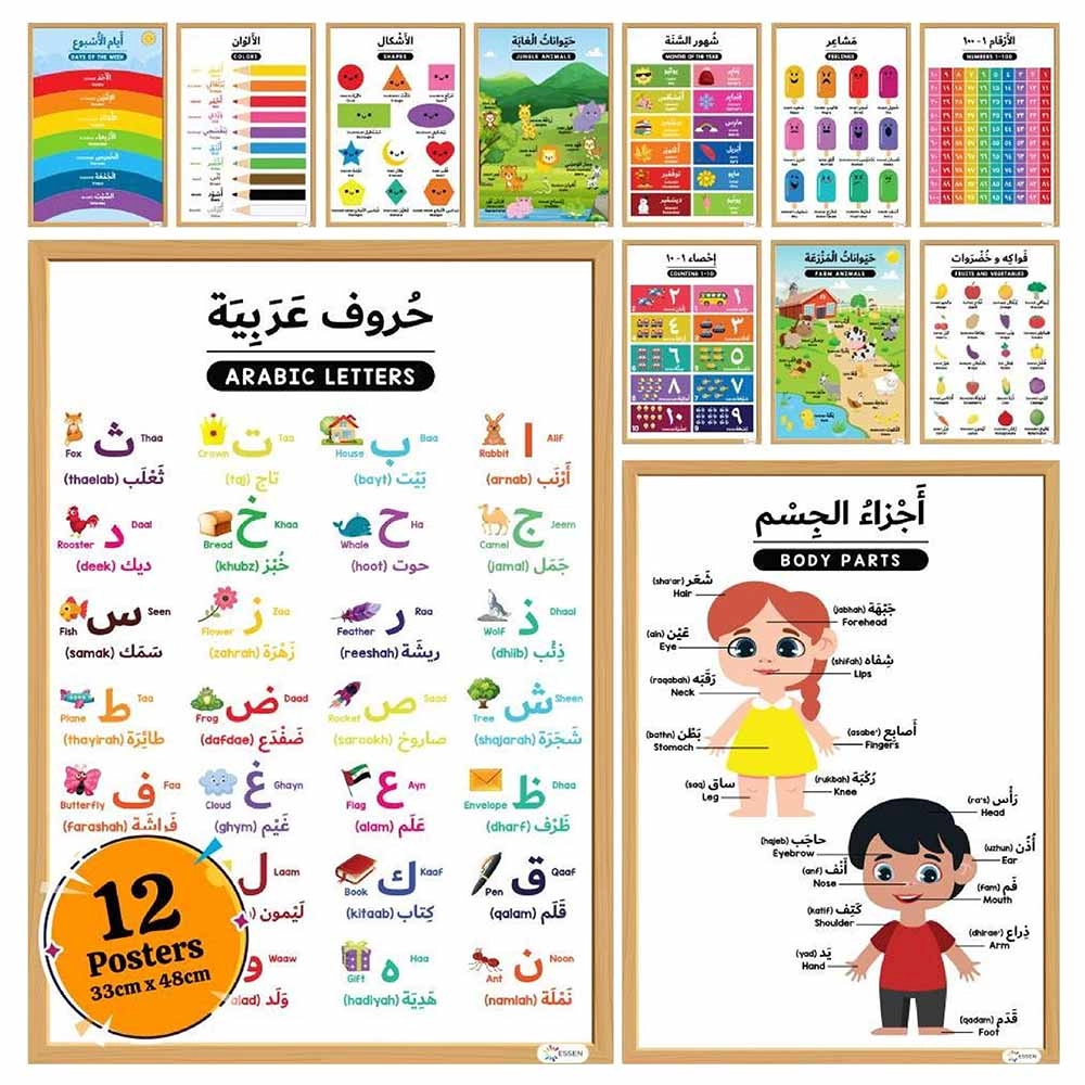ESSEN Arabic Educational Preschool Posters Chart - thick paper card 44.6 x 33 x 0.9 cm