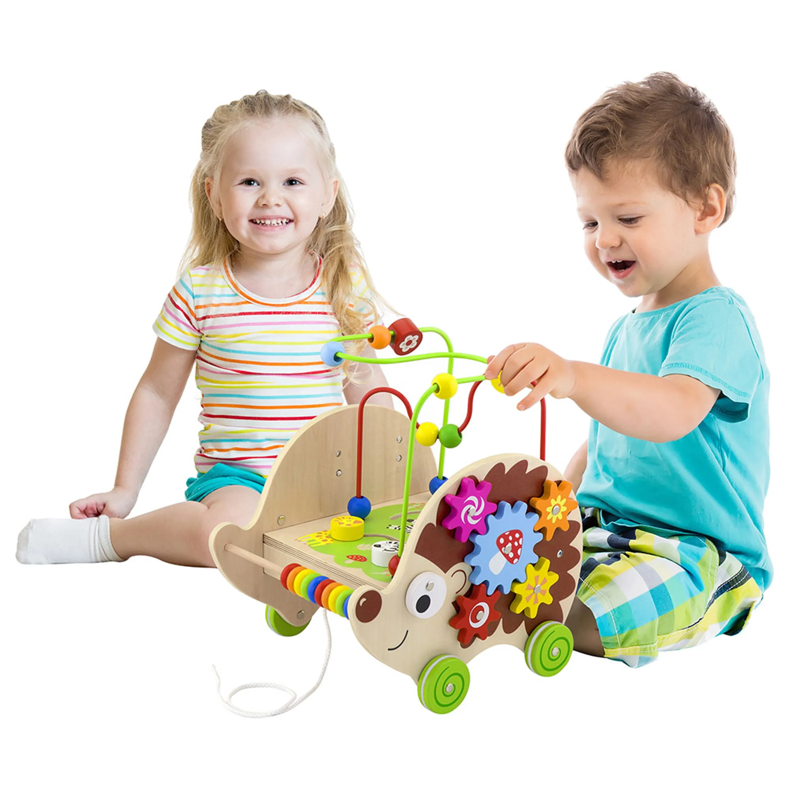 5-in-1 Pull-along Activity Hedgehog