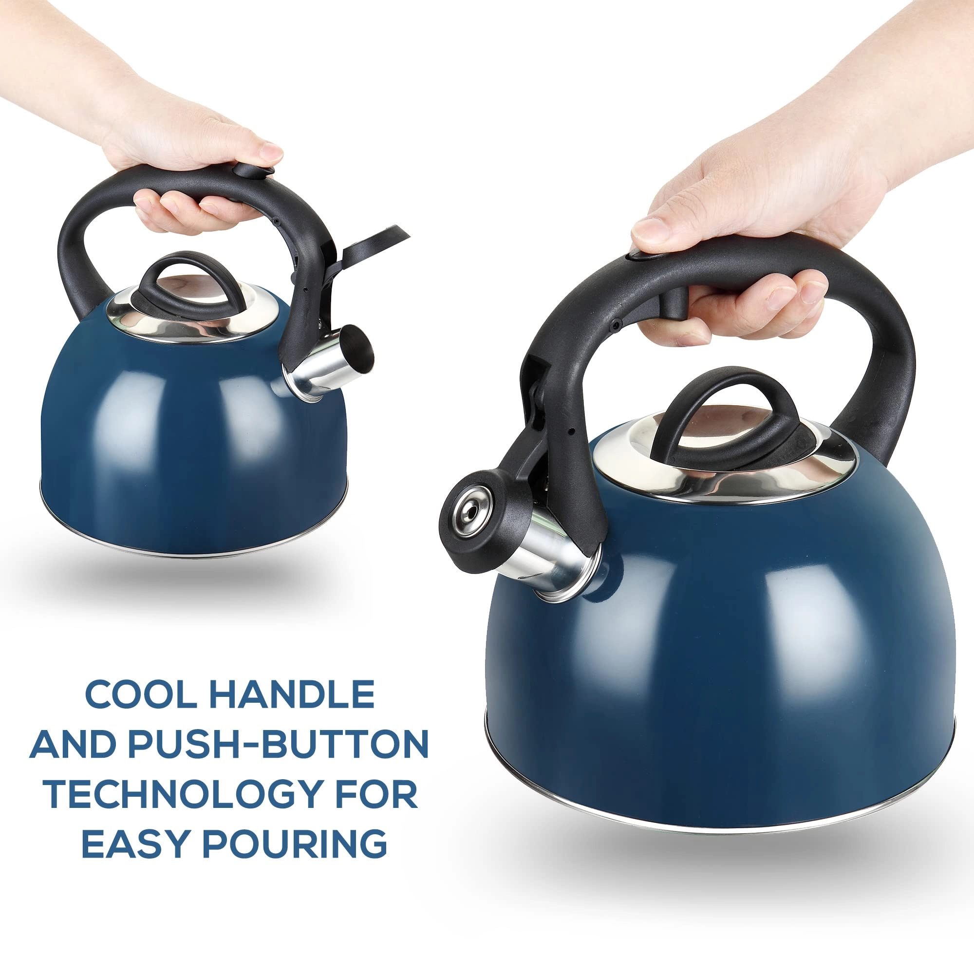 Stove Top Whistling Kettle - 2.5 litres