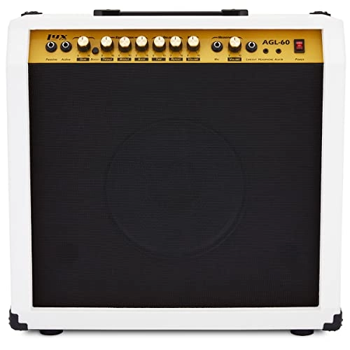 Electric Guitar Amplifier - 60W 10" 4-Ohm Speaker