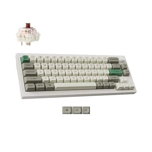 Q2 Max - Wired/Wireless