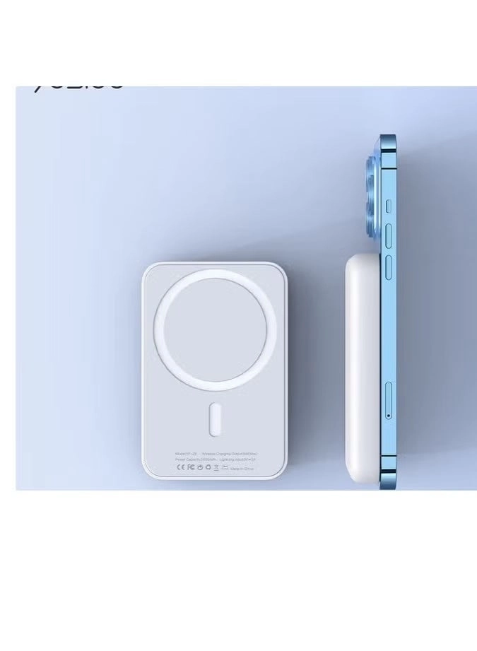 YP29 - 5000mAh Qi USB-C