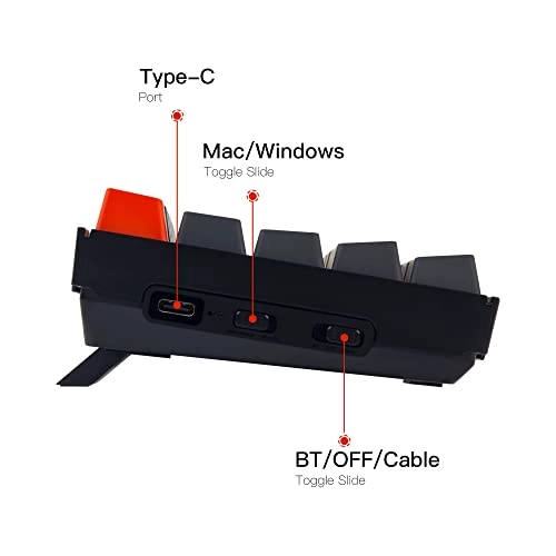 K12 - 60% Wired/Wireless