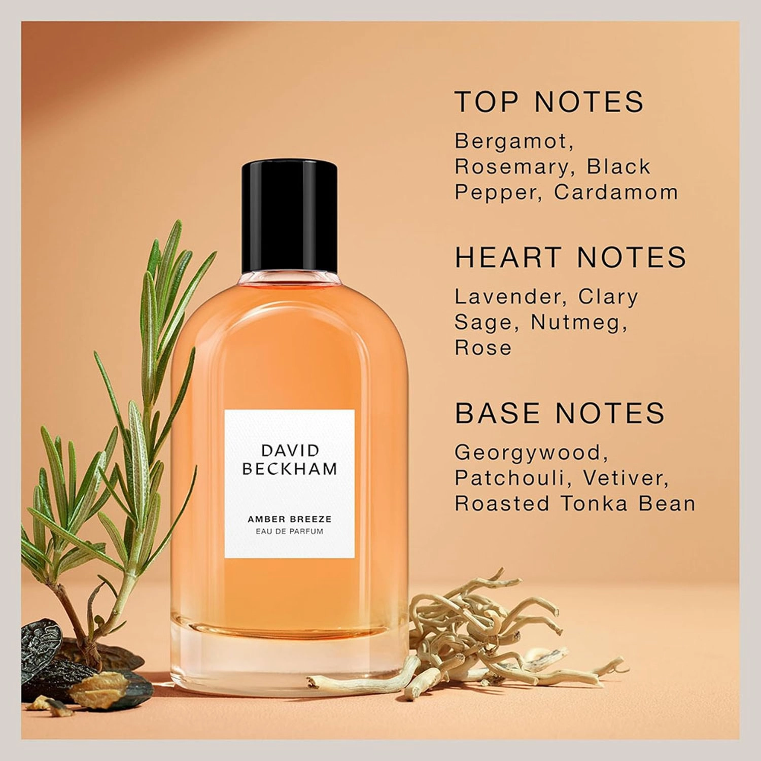 Amber Breeze - Eau de Parfum 100 ml