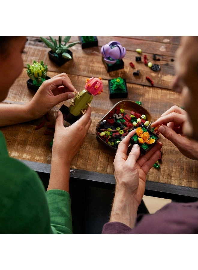 Succulents (10309) - Flowers