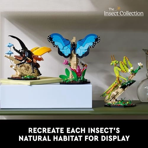 The Insect Collection (21342)
