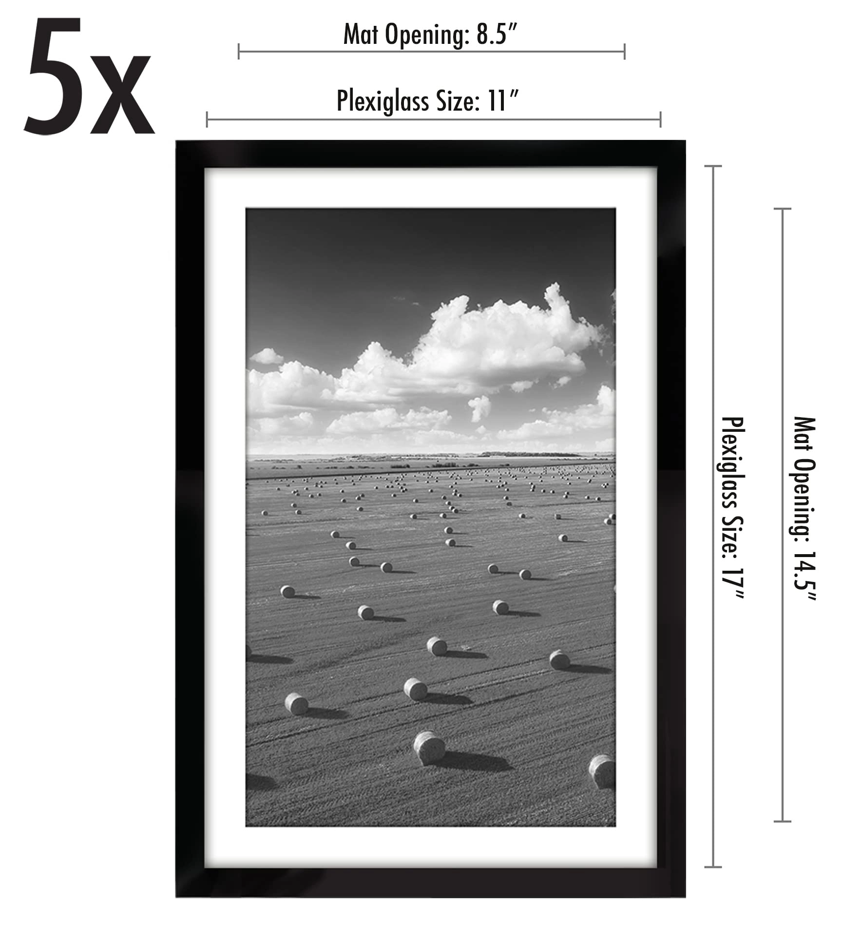 Picture Frame - 11x17 Set