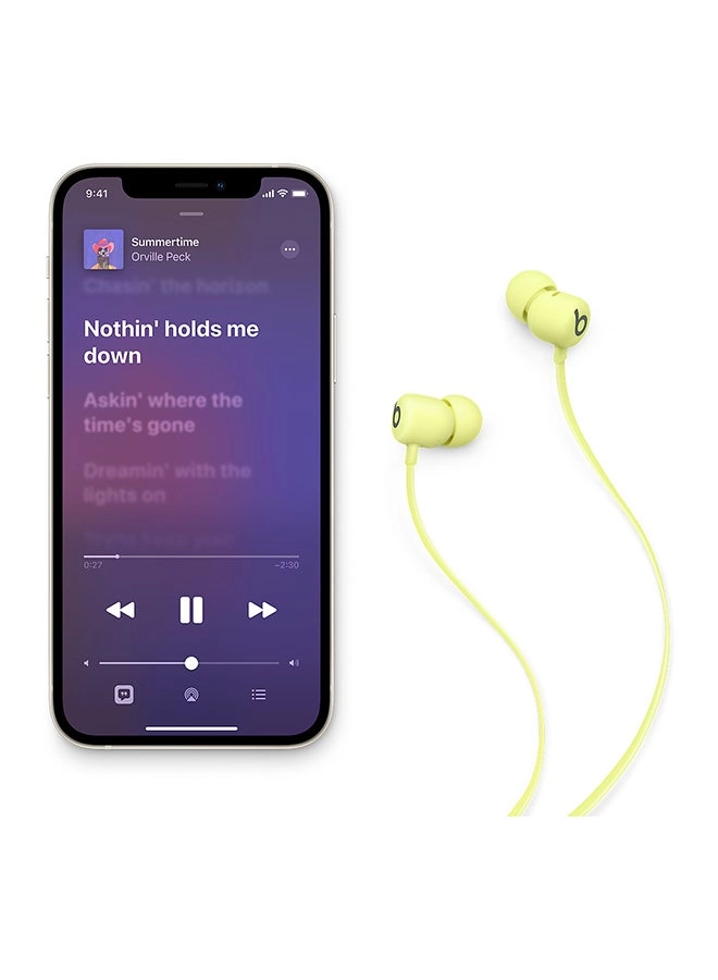 Flex Wireless Earphones