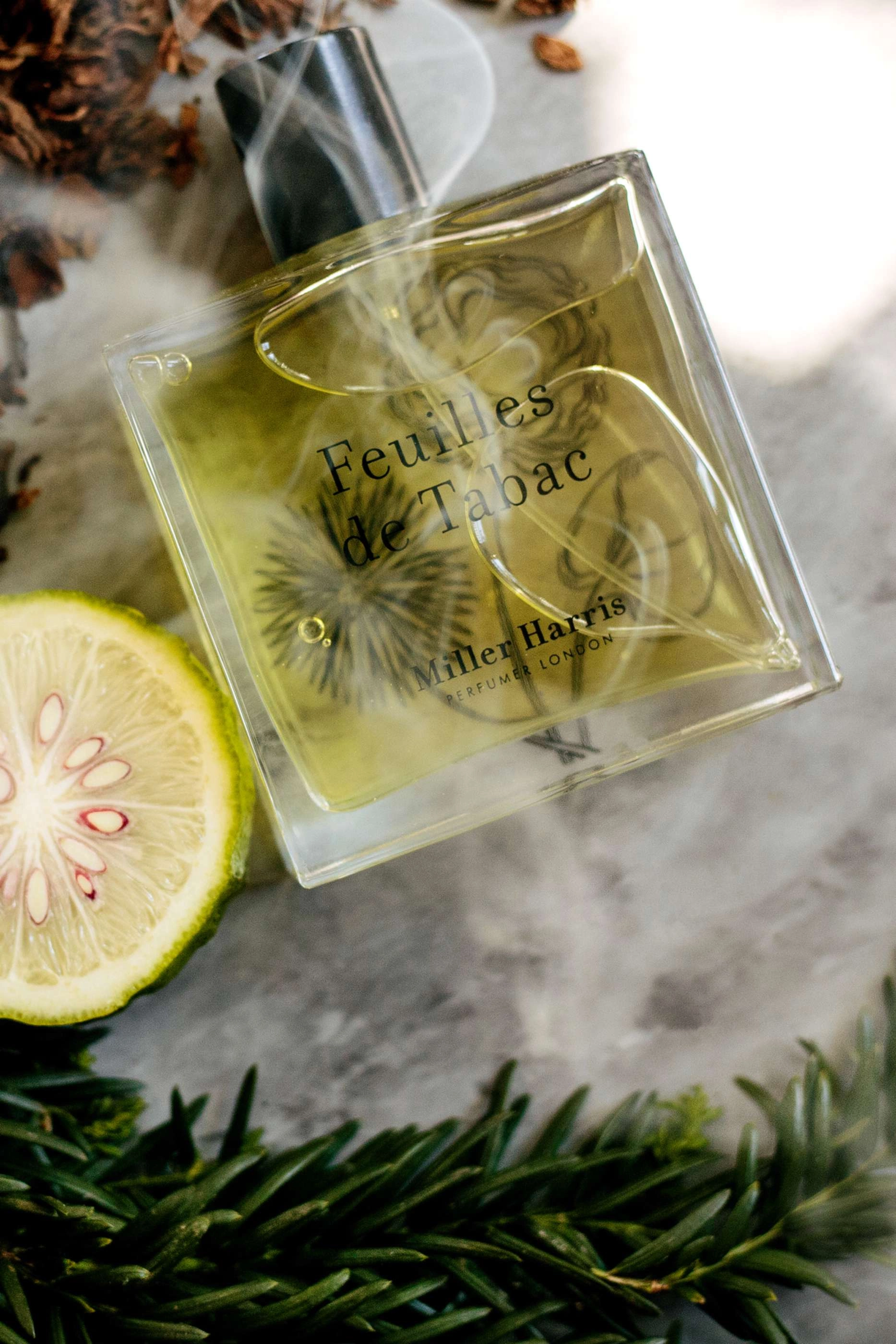 Feuilles de Tabac - Eau de Parfum 100ml